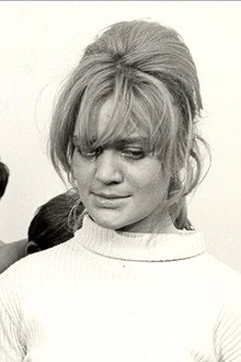 Grajski biki