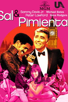 Sal y pimienta