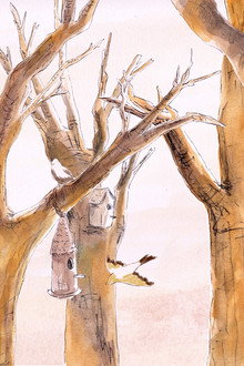 Le chant des oiseaux