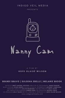 Nanny Cam movie poster