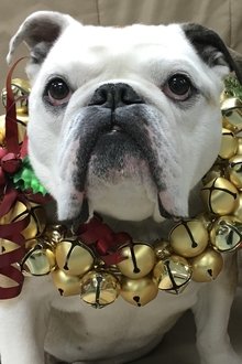Photo of Nellie