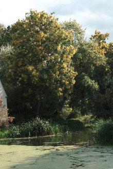 Turner & Constable