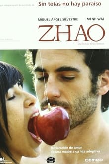 Poster do filme Zhao