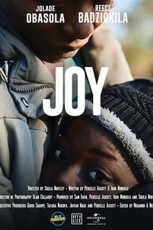 Poster do filme Joy