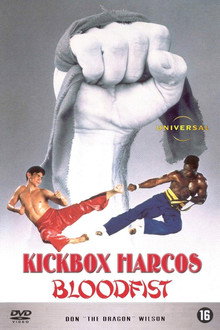 Kickbox harcos