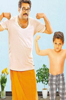 സാള്‍ട്ട് മംഗോ ട്രീ