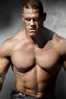 WWE Survivor Series 2008