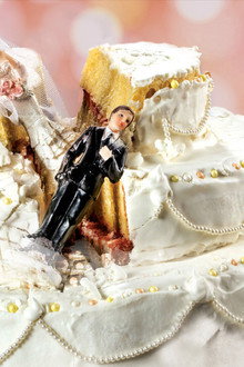 Love, Weddings & Other Disasters