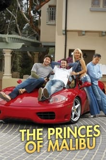 Poster da série The Princes of Malibu