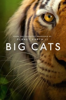 Big Cats 1ª Temporada Completa