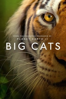 Big Cats S01