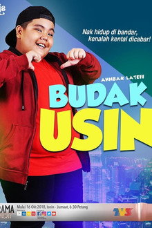 Budak Usin