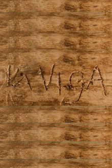 La viga