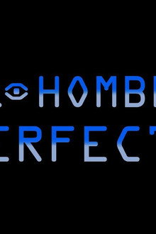 El hombre Perfecto