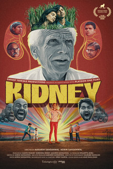 Kidney