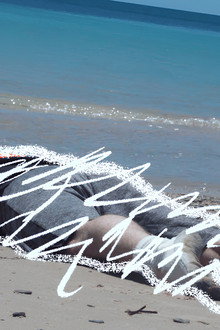 Algal Doom