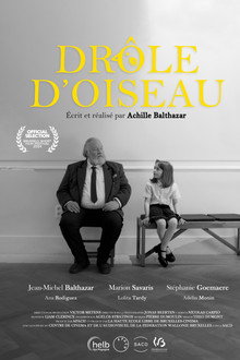 Drôle d'Oiseau