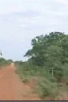 A Terra E O Tempo - Vozes Do Quilombo