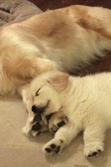 Hopper meets Venkman