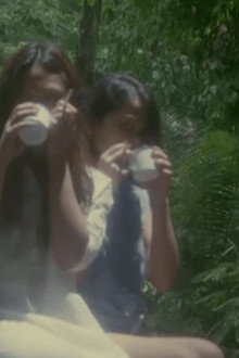 People Power Bombshell: The Diary of Vietnam Rose