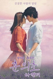 라벤더