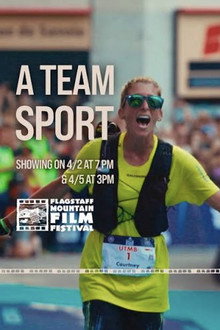 A Team Sport