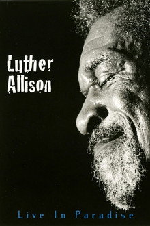 Luther Allison - Live In Paradise