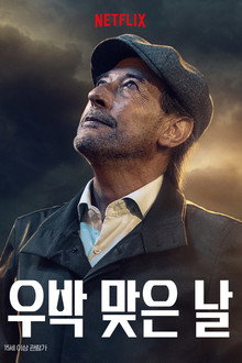 우박 맞은 날