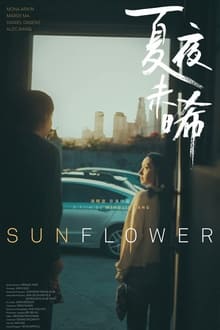 Poster do filme Sunflower
