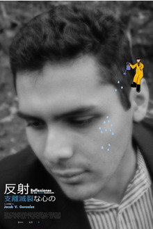 Reflexiones de una Mente Incoherente