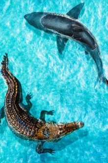 Jaws-vs-Mega-Croc
