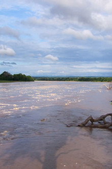 Africa River Wild
