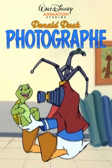 Donald Photographe