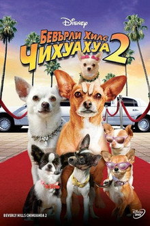 Бевърли Хилс Чихуахуа 2
