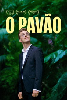 O Pavão