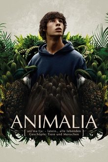 Poster do filme O Reino Animal