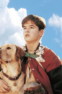 Far from Home: The Adventures of Yellow Dog