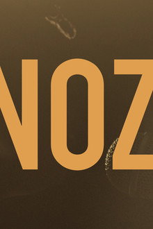 Nozi