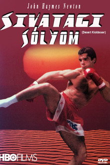 Sivatagi sólyom