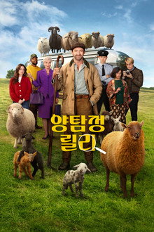양탐정 릴리