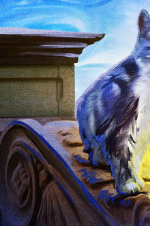 Kitty Love: An Homage to Cats
