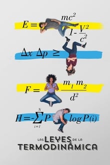 Die Gesetze der Thermodynamik