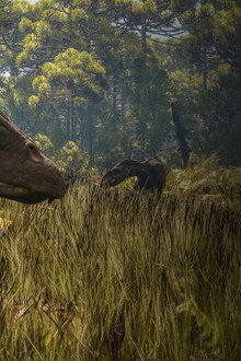 Jura Devri Dinozorlarının Sırları
