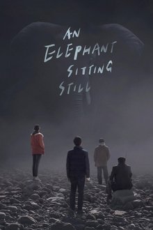 An Elephant Sitting Still An Elephant Sitting Still