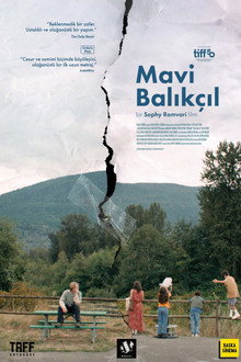 Mavi Balıkçıl