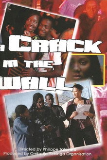 A Crack in the Wall