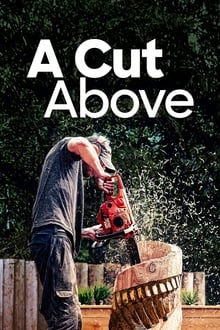 A Cut Above tv show poster