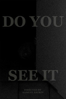 DO YOU SEE IT