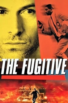 Poster da série O Fugitivo