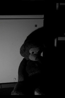Bear in Hell